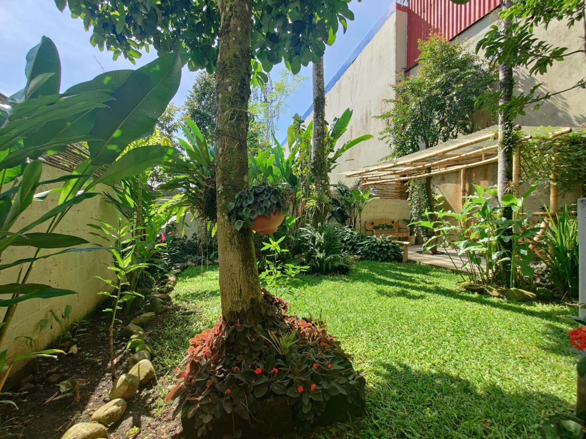 Casa de Lis Hotel&Tourist Info Centre Turrialba Exterior foto