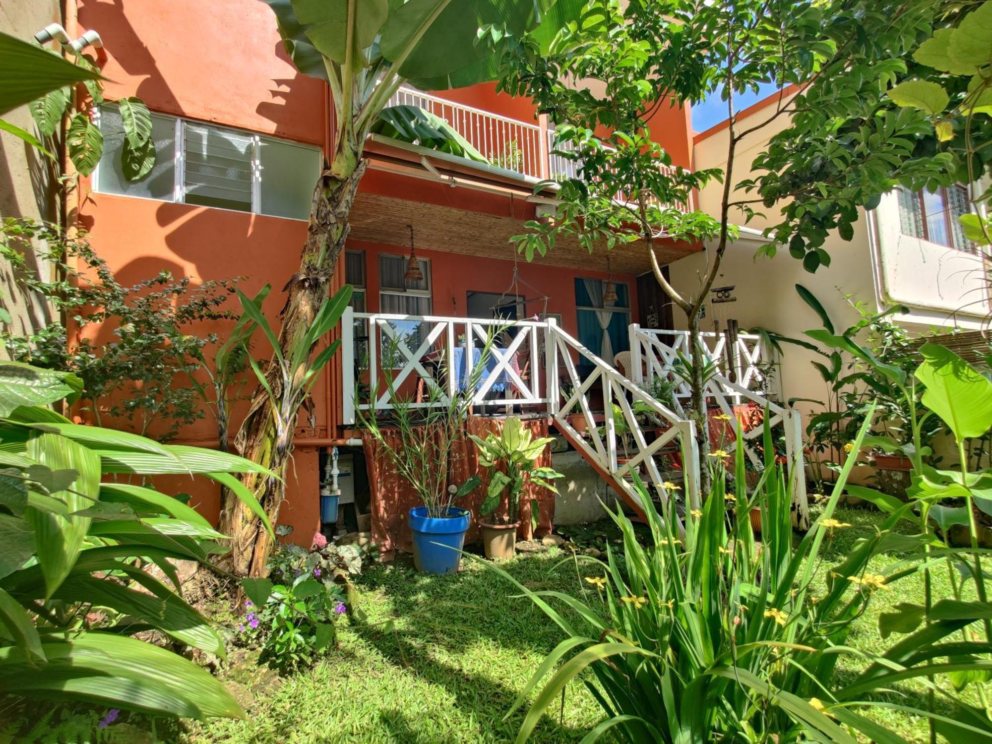 Casa de Lis Hotel&Tourist Info Centre Turrialba Exterior foto